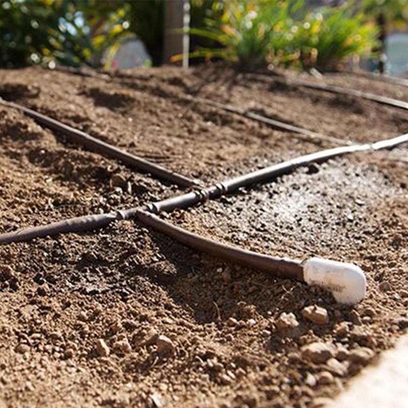 學校樓臺、屋頂花園，立體花墻滴灌工程全自動灌溉系統(tǒng)