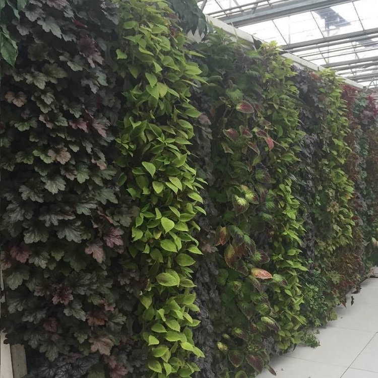 京路立體花墻滴灌,立體花墻滴灌工程