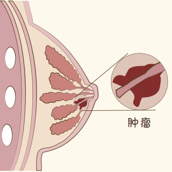 圖片62.jpg